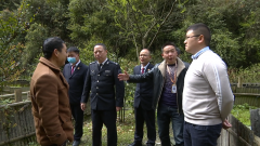 贵州铜仁：梵净山“空中刺客”获刑生态 